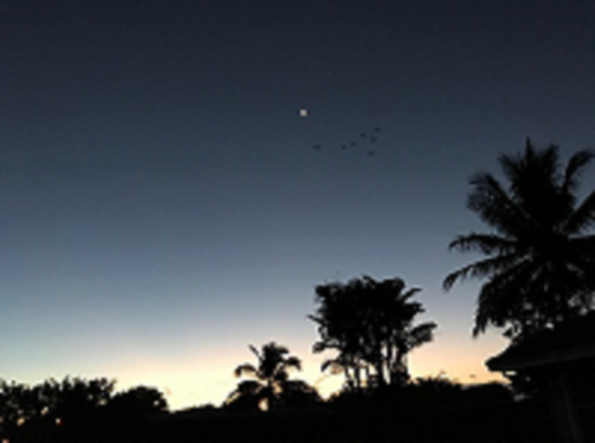 Hector Joseph Dager Gaspard